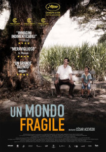 Un mondo fragile