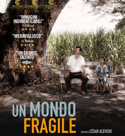 Un mondo fragile